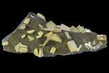 Sandwich Wulfenite Crystal Cluster - Ojuela Mine, Mexico #103491-1